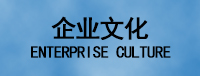 色情网文化