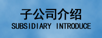 子公司介绍
